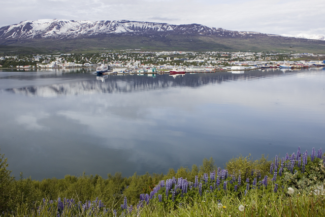 2011-07-02_09-33-22 island.jpg - Akureyri von Osten ber den Eyjafjrdur